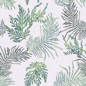 Acadia - Fern