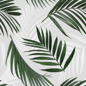 Pleasant Place - Bliss