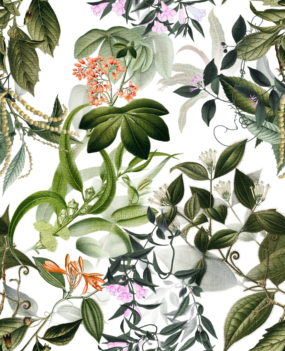 Zolano - Morning Light