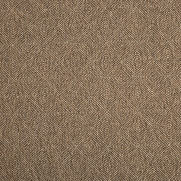 Egypt - Twig