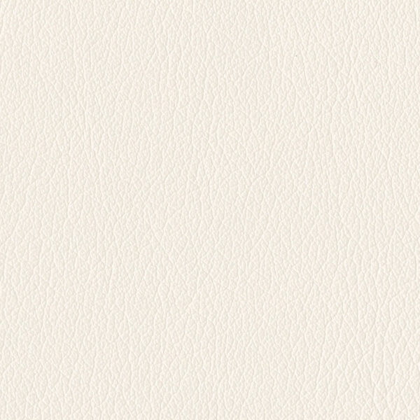 Elon - Cream