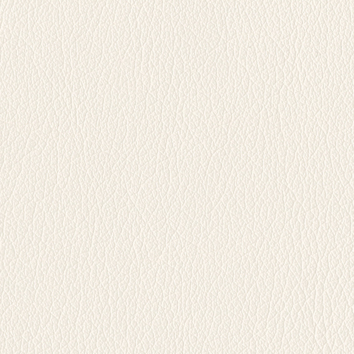 Elon - Cream