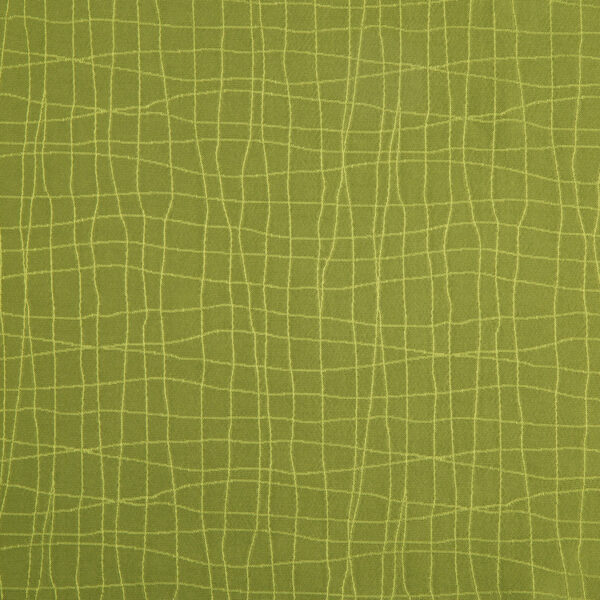 Mojo - Kiwi
