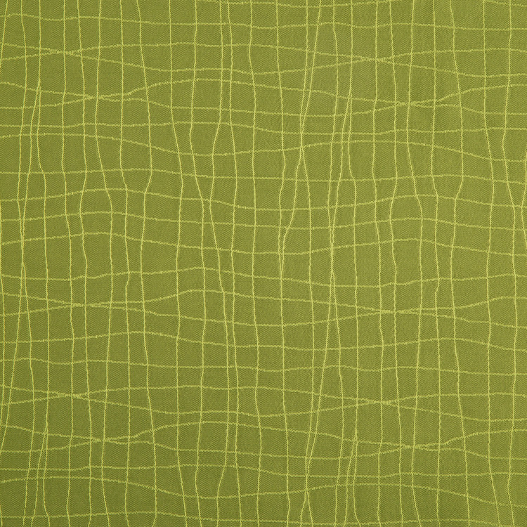 Mojo - Kiwi